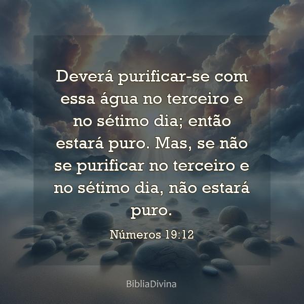 Números 19:12