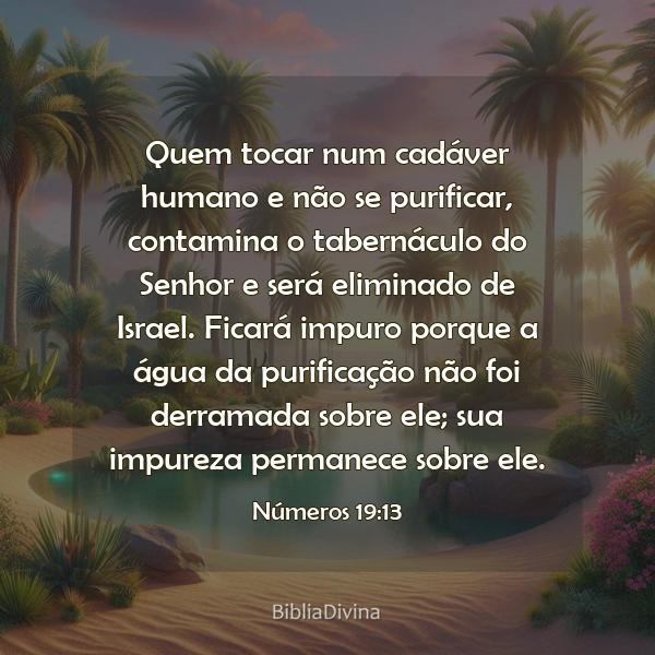 Números 19:13