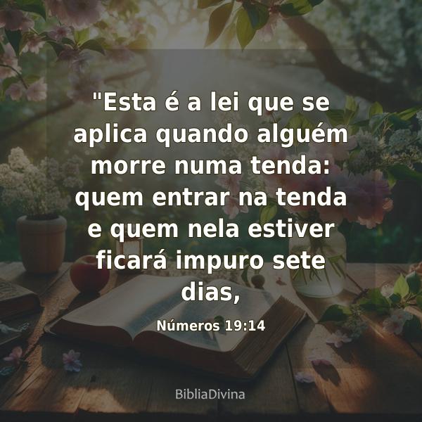 Números 19:14