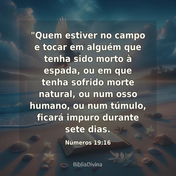 Números 19:16