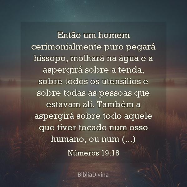 Números 19:18