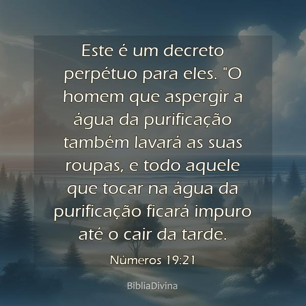 Números 19:21