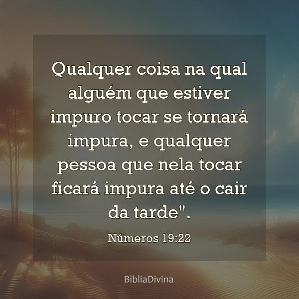 Números 19:22