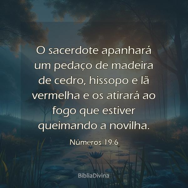 Números 19:6