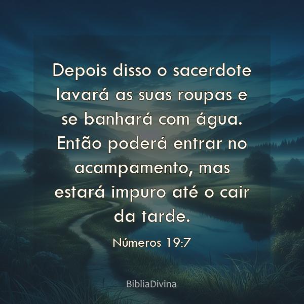 Números 19:7