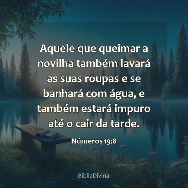 Números 19:8