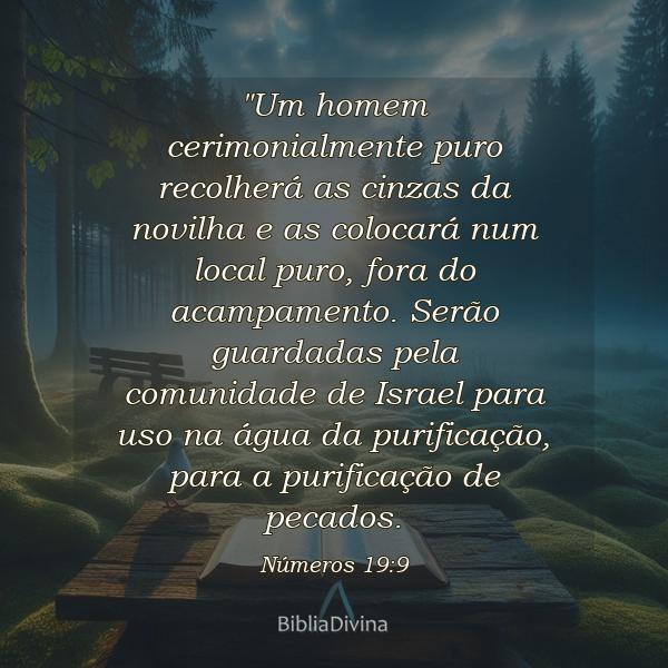 Números 19:9