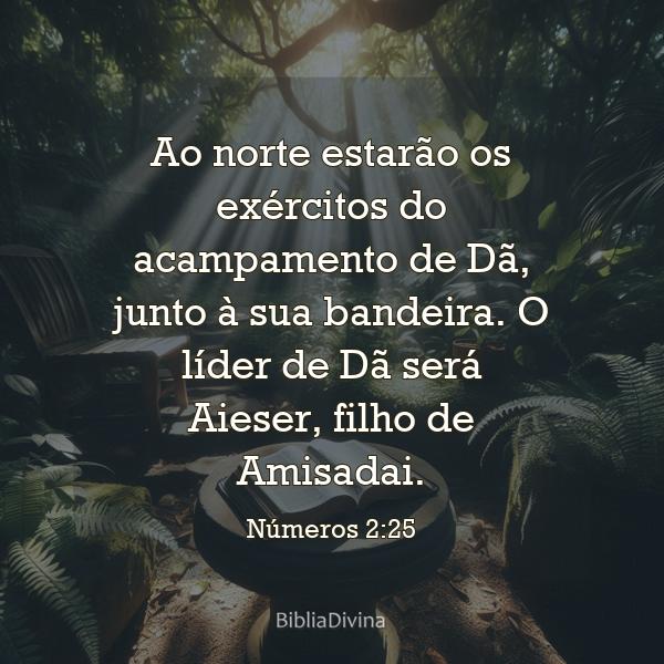 Números 2:25