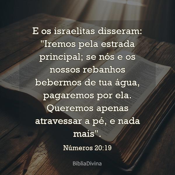 Números 20:19