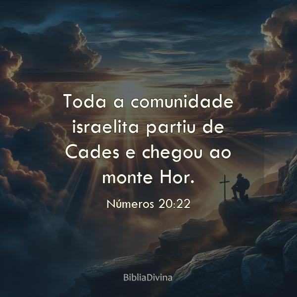 Números 20:22