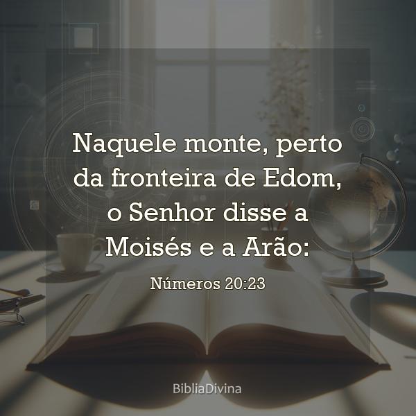 Números 20:23