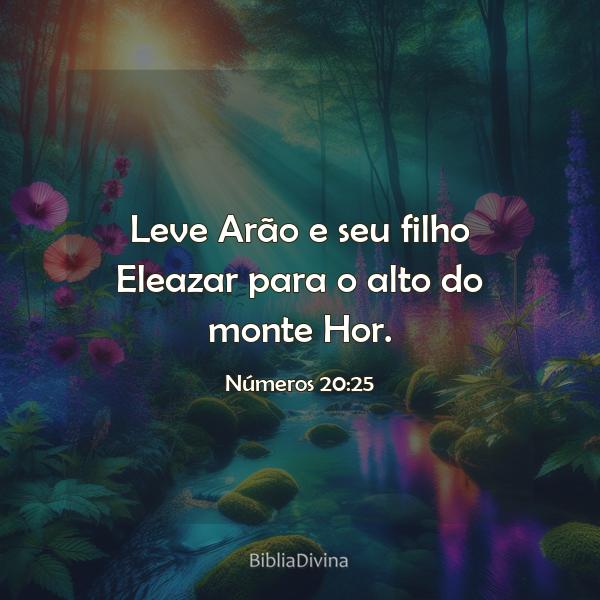 Números 20:25