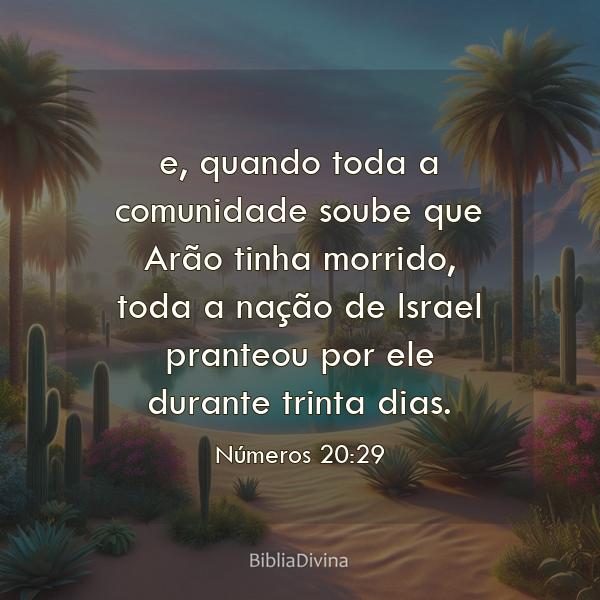 Números 20:29