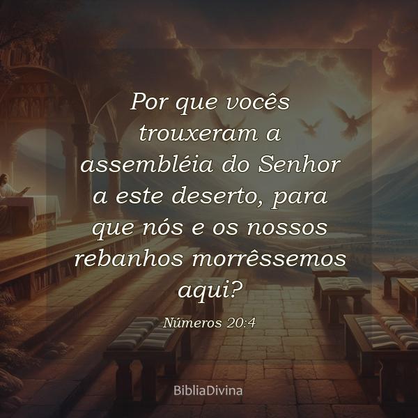 Números 20:4