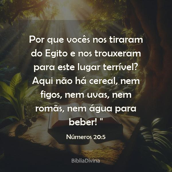 Números 20:5