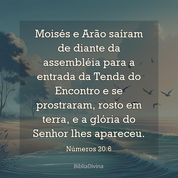 Números 20:6