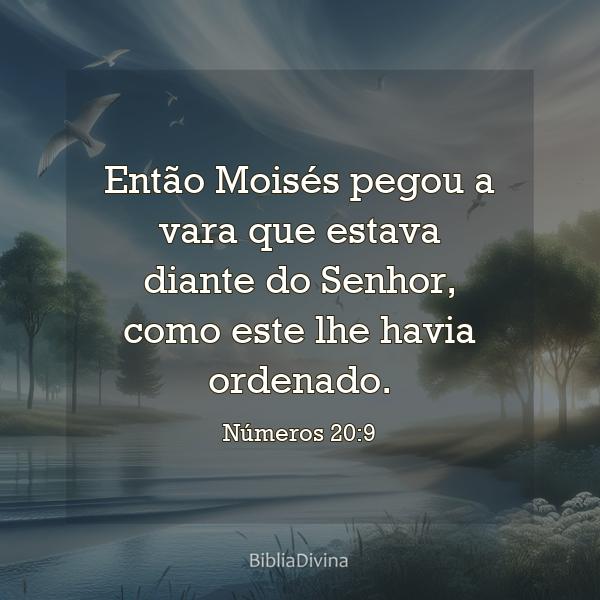 Números 20:9