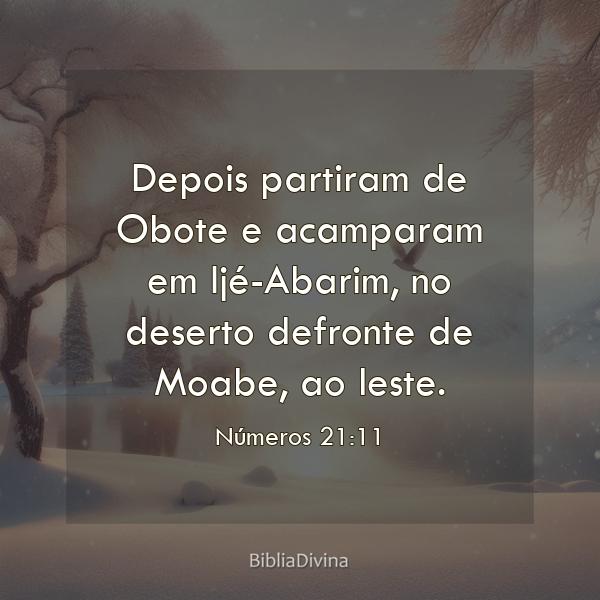 Números 21:11