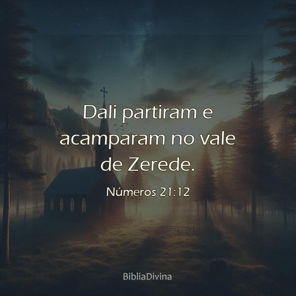 Números 21:12