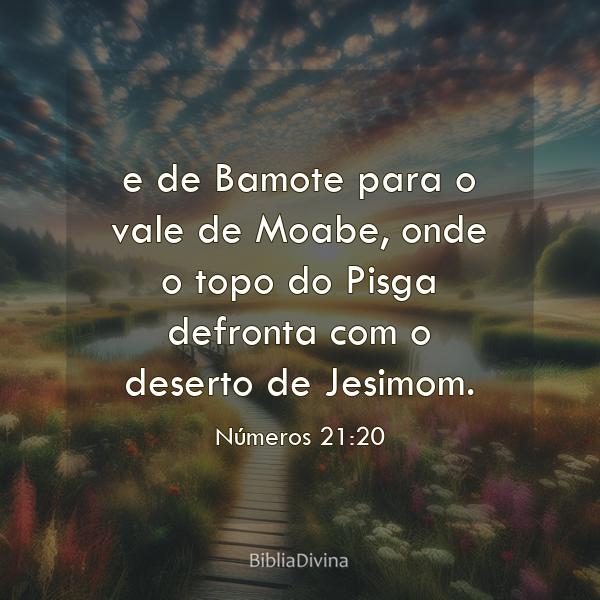 Números 21:20