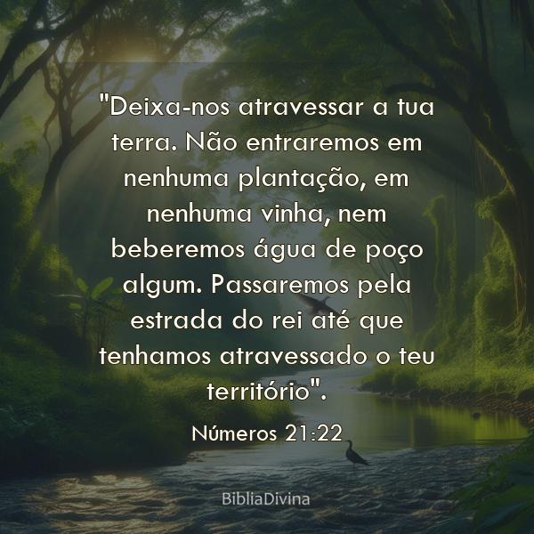 Números 21:22