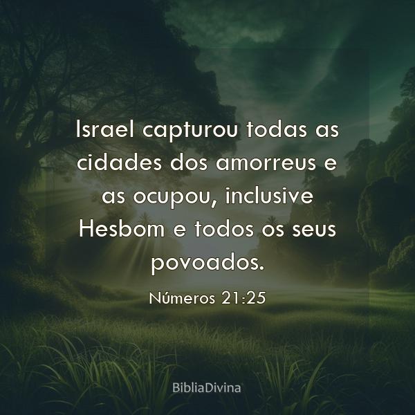 Números 21:25