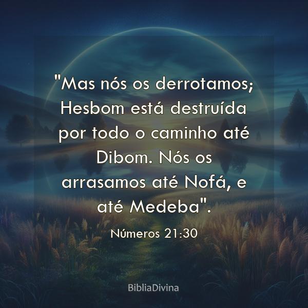 Números 21:30