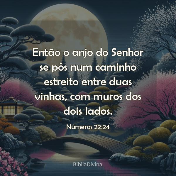 Números 22:24