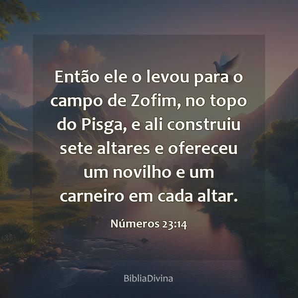 Números 23:14