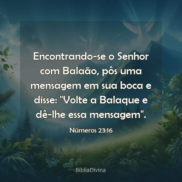 Números 23:16