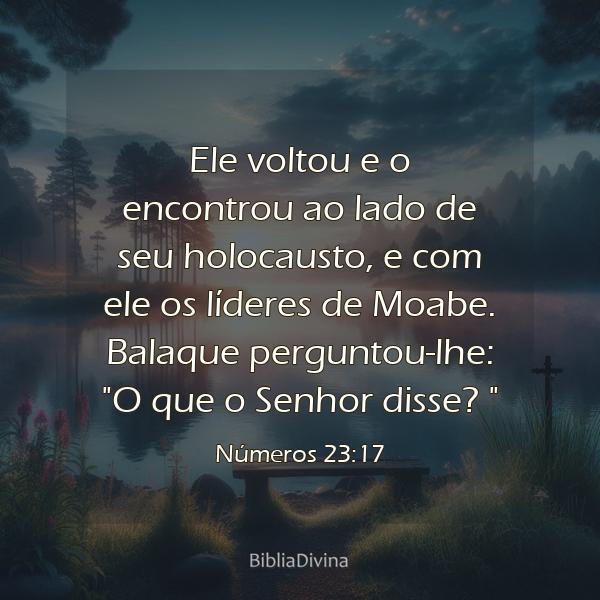 Números 23:17