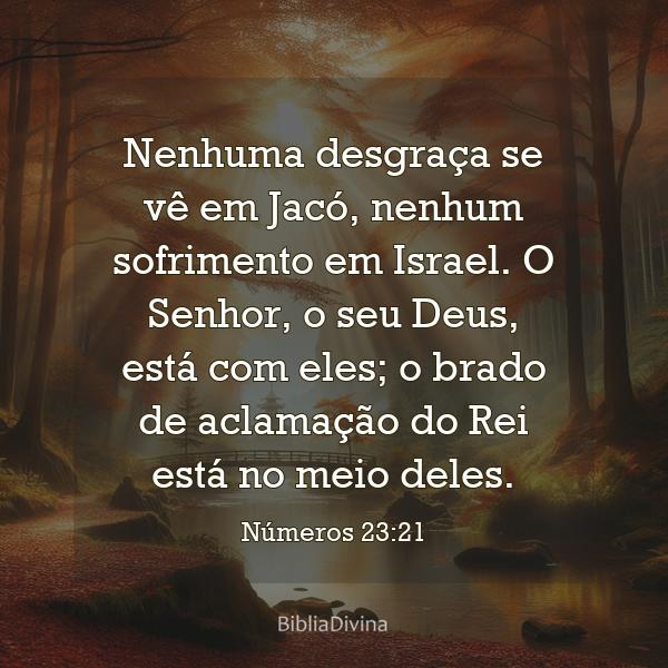 Números 23:21