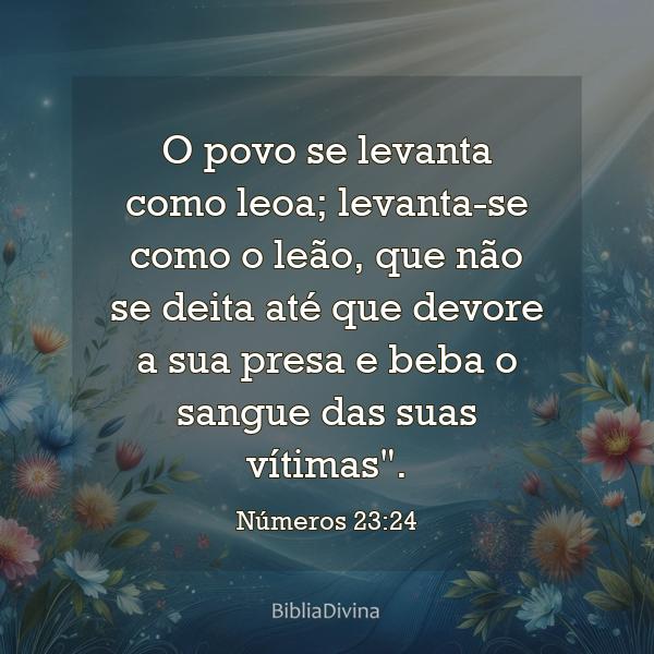 Números 23:24