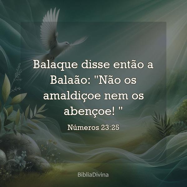 Números 23:25