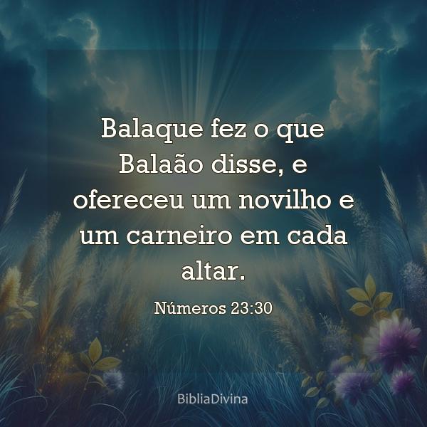 Números 23:30