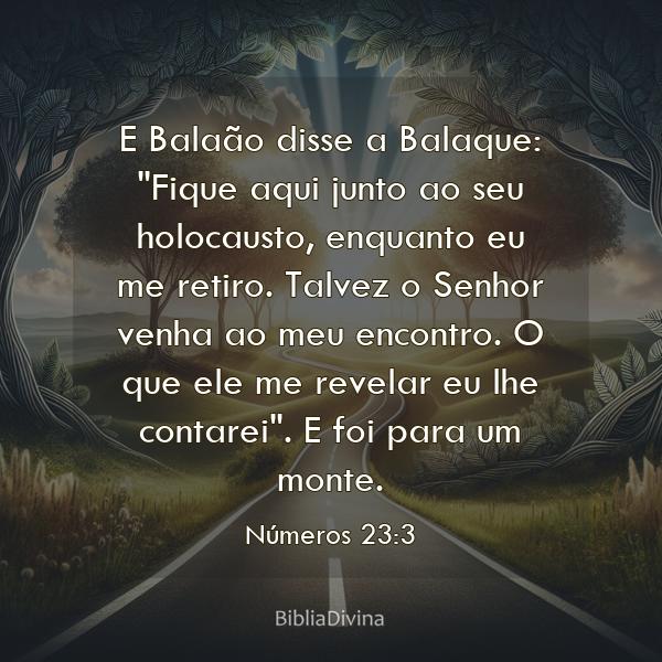 Números 23:3