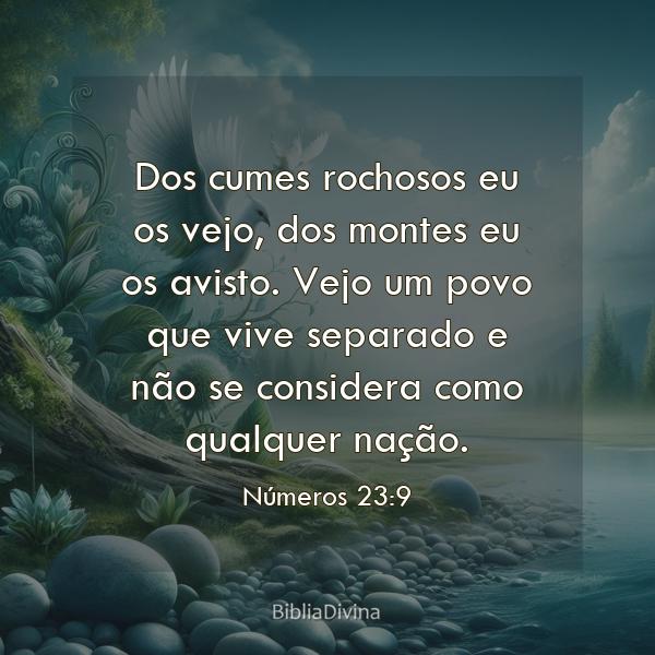 Números 23:9