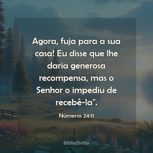 Números 24:11