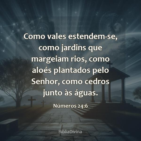 Números 24:6