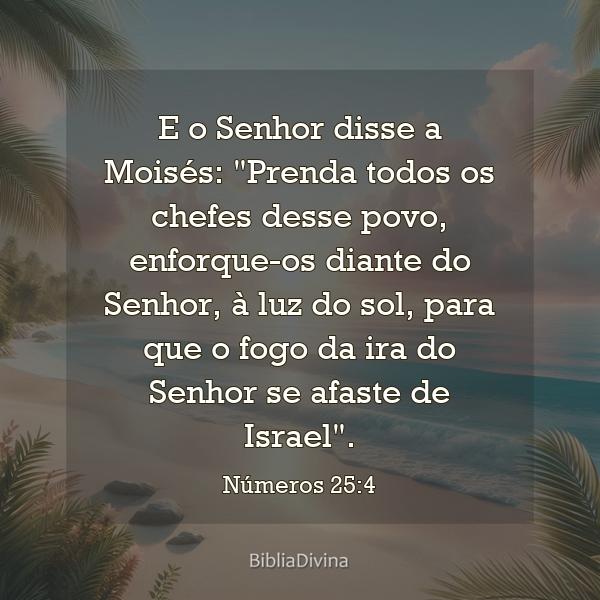 Números 25:4