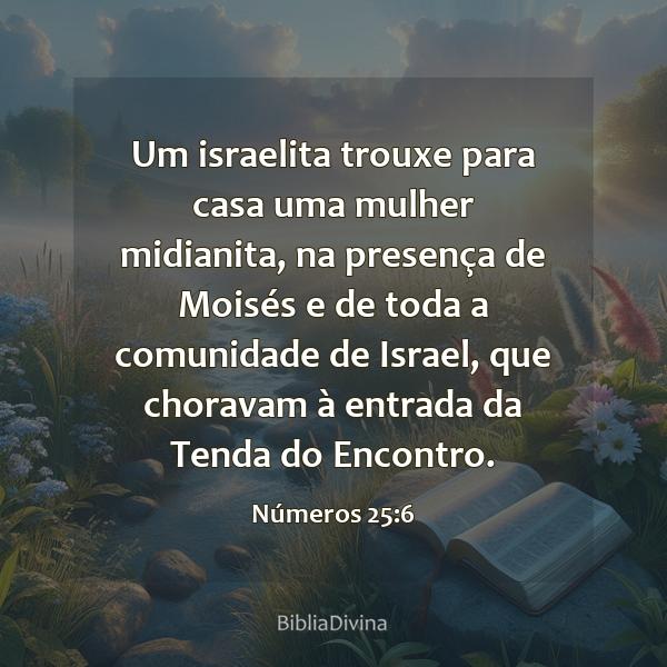 Números 25:6