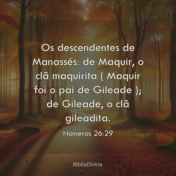 Números 26:29