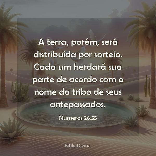 Números 26:55