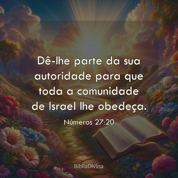 Números 27:20