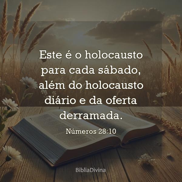 Números 28:10