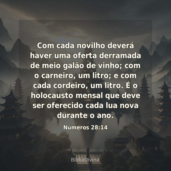 Números 28:14