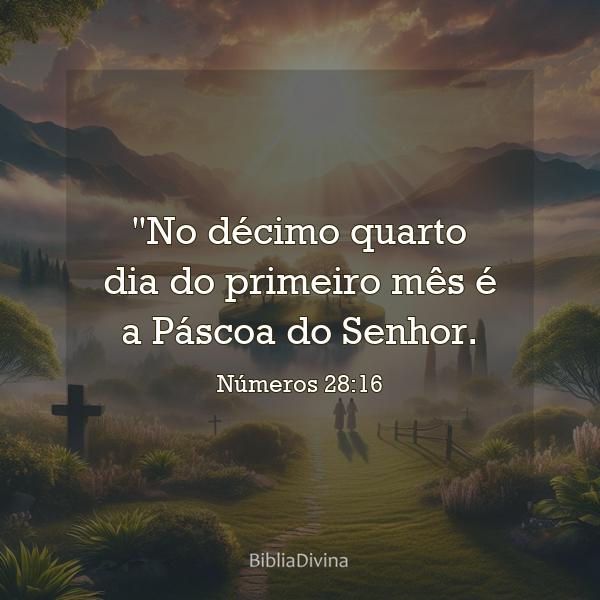 Números 28:16