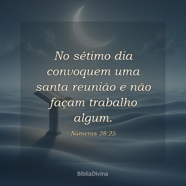 Números 28:25