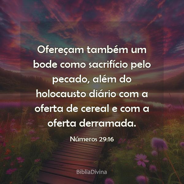 Números 29:16