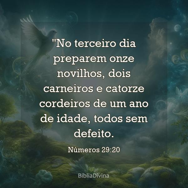 Números 29:20